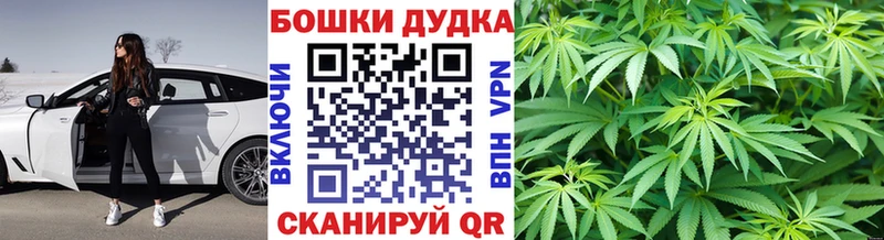 Шишки марихуана планчик  где купить наркоту  Нарткала 